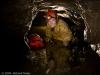Peak Cavern, Jess in the Mucky Ducks